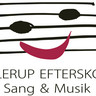 Ollerup Efterskole